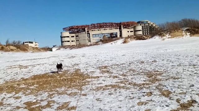 Дрессировка электронным ошейником. Курцхаар и послушание. Электроошейник с АлиЭкспресс. смотреть онлайн