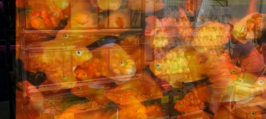 Перенаселение в аквариуме. Теория и практика.