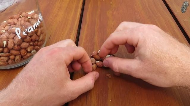 I Grew Fruit Trees from Store Bought Fruits and this is what happened - Full Tutorial смотреть онлайн