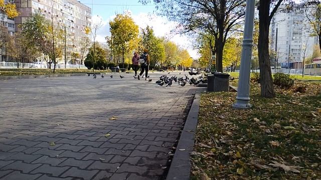 шикарная классическая музыка осени