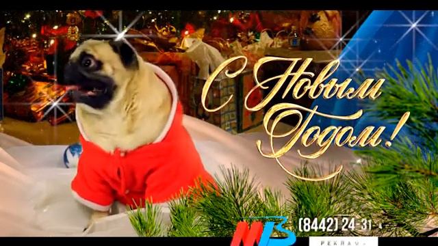 МТВ поздравляет с Новым годом ... Собаки! смотреть онлайн