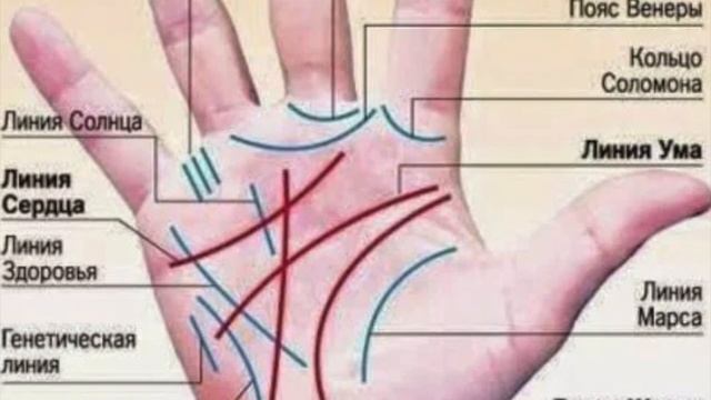 Что такое хиромантия? Гадания по руке. Обучающее видео. Фламандская школа парапсихологии смотреть онлайн