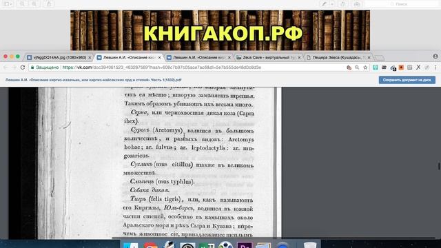 Присоединение СИБИРИ к Руси ДО ЕРМАКА - 1832г - ОРДЫ и СТЕПИ (Часть 1) смотреть онлайн
