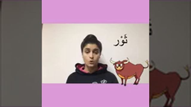 Домашние животные на арабском языке смотреть онлайн