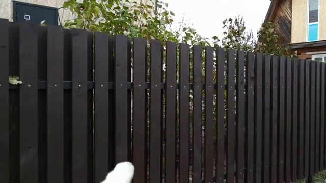 Забор потёк и зазор большой смотреть онлайн