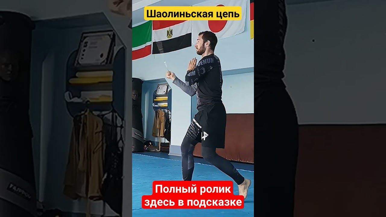 Работа с Цепью #кунгфу #шаолинь #kungfu смотреть онлайн