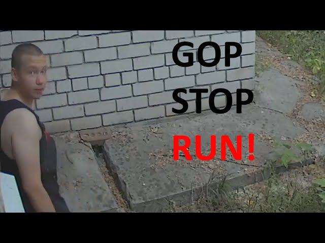 2022307051248 gop stop run (гоп стоп беги) смотреть онлайн