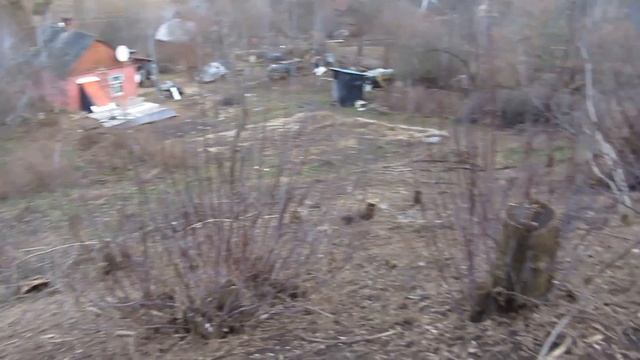 Землянка выживание! Харьков! Харьковская область! своими руками! зима 2023. 1 января смотреть онлайн