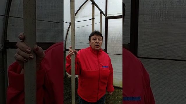 Вредители в теплице смотреть онлайн