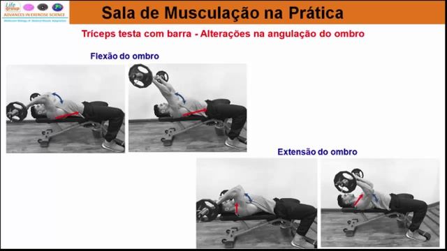 Sala de Musculação na Prática - Tríceps Testa com Barra смотреть онлайн