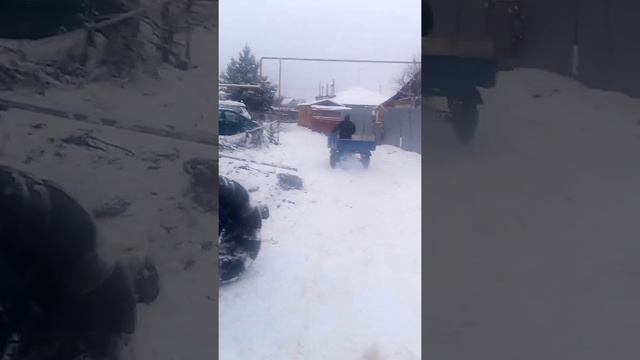 Муравей на магнето смотреть онлайн