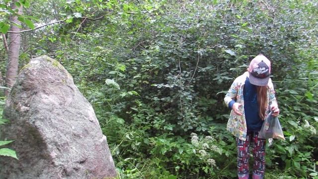 Каменный идол. Дер. Подоржевка. Бежаницкий район. Псковская обл. смотреть онлайн