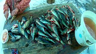 трудовая рыбалка часть 6.mp4 смотреть онлайн