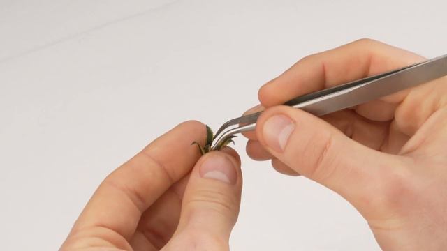 Tutorial: How-to use AGAVE Laser Plant смотреть онлайн