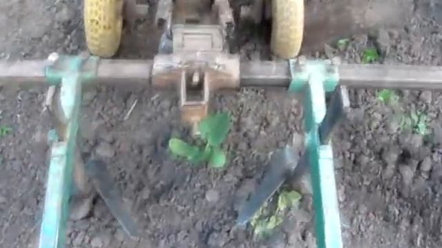 Обработка ТЫКВЫ!