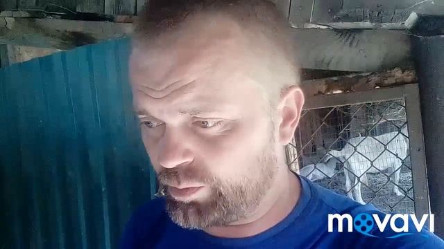 Как сделать прибыльным подсобное хозяйство? смотреть онлайн