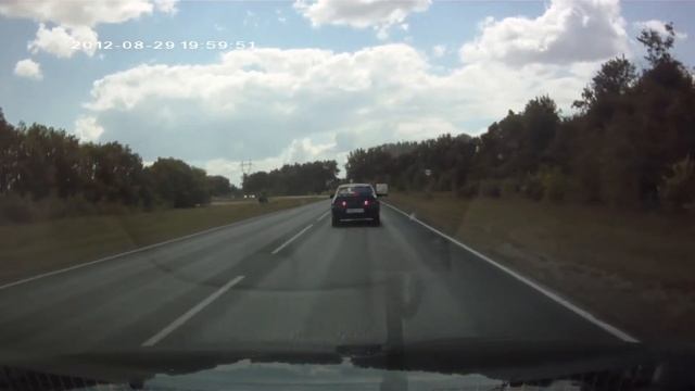 02 07 2016 Лось на дороге