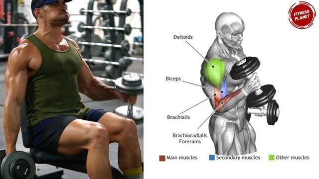 ? Rutina para Definir BRAZOS - Ejercicios para BRAZOS Hombres GYM (Biceps & Triceps) ? смотреть онлайн