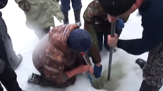 ДУМАЛИ ЧТО ЩУКА А ОН ЕЛЕ ВЛЕЗ В ЛУНКУ НА ЗИМНЕЙ РЫБАЛКЕ 2017 2018 ВИДЕО КРУПНАЯ ЩУКА СО ЛЬДА смотреть онлайн
