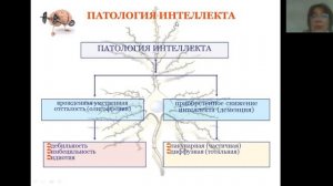 Умственная отсталость  Олигофрения