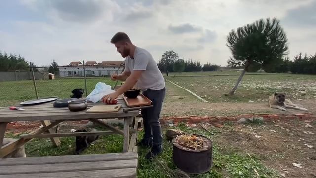 AYI YAVRULARIN YEMEKLERİNİ ÇALMIŞ! смотреть онлайн