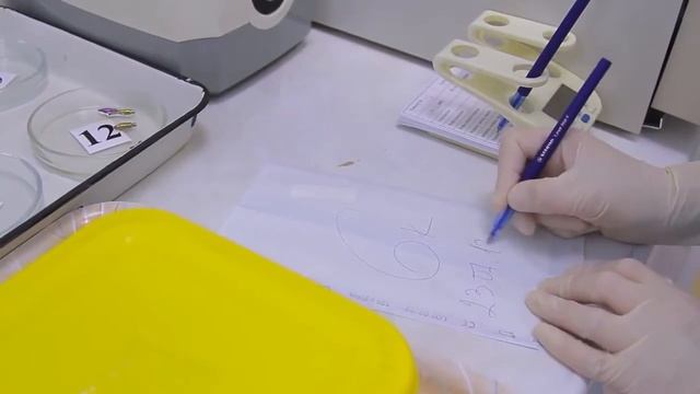Правила стерилизации и дезинфекции наконечника | Обработка наконечников | Стоматология смотреть онлайн