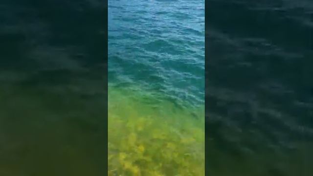 Озеро в Швейцарии регион Лугано. смотреть онлайн