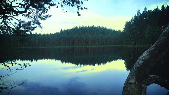 Гармонизирующая музыка. Гусли. С. Виноградова. Дада для Михаила. «Рассвет» смотреть онлайн
