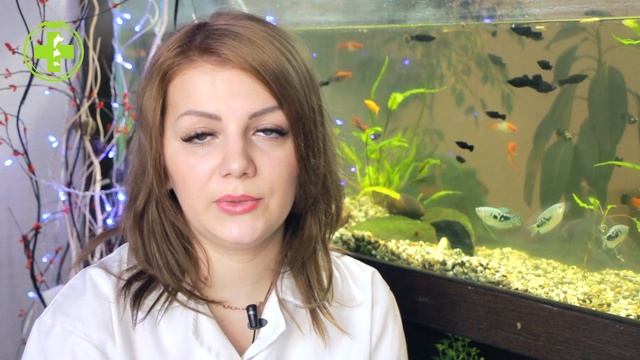 Почему Чихает Крыса? - Причины, лечение, профилактика // Сеть Ветклиник Био-Вет смотреть онлайн