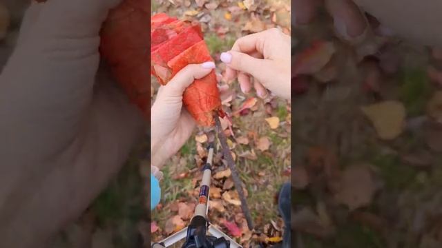 Осенняя поделка в садик или школу? #поделка #поделкавсадик #осенняяподелка смотреть онлайн