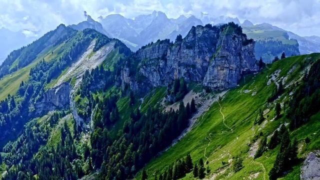 81 псалом иронау. На осетинском языке. смотреть онлайн