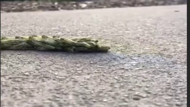 боевые гусеницы ВСУ брошены на Крымский мост