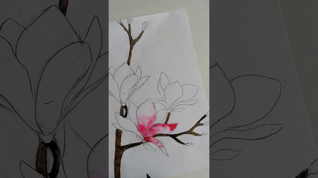 Рисуем Магнолии 2 часть смотреть онлайн