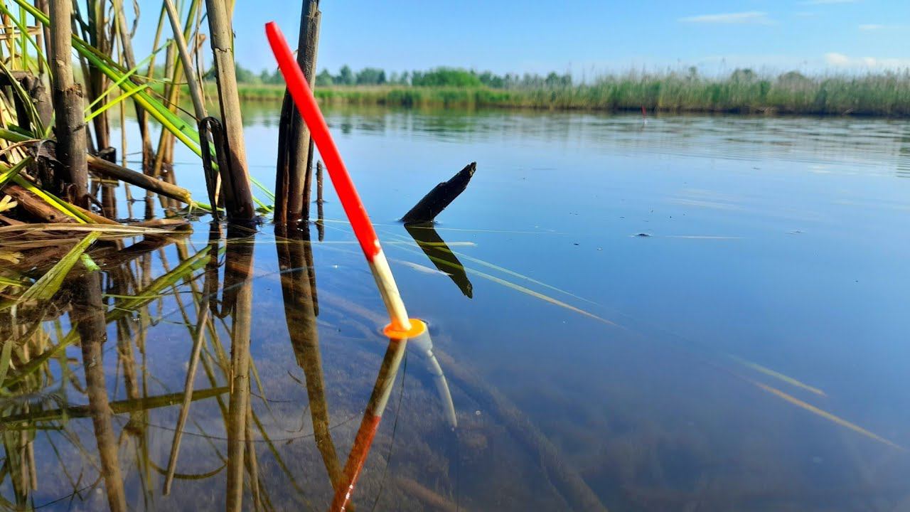 ПОПАЛ НА ЖОР КАРАСЯ после НЕРЕСТА. Ловля Карася на поплавочную удочку. смотреть онлайн