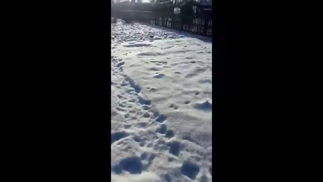 Обзор дачи! смотреть онлайн