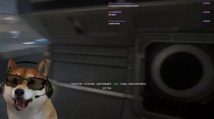 ЧУЖОЙ ИЗОЛЯЦИЯ 3 СТРИМ | ПЕС СТРИМЕР