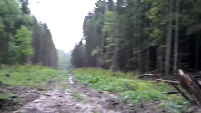 Лесная дорога в деревню Ивановское в Боровске смотреть онлайн