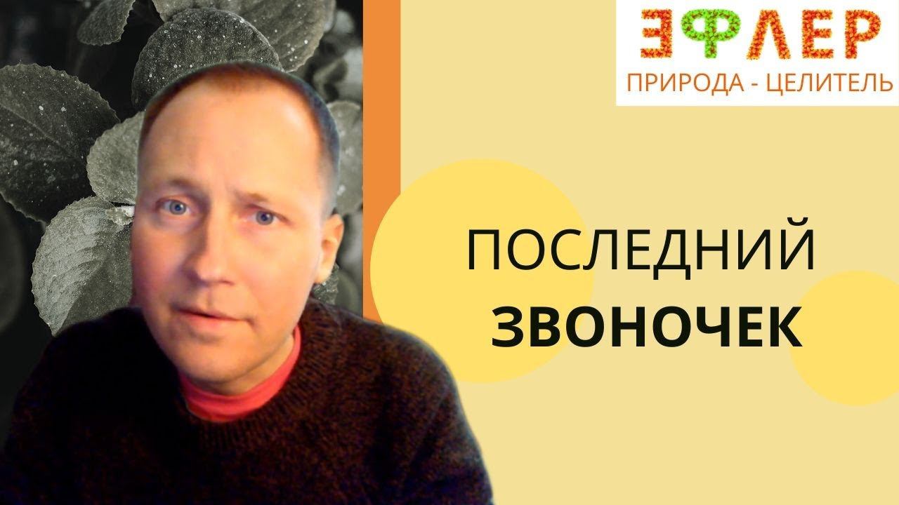 СПИД ЕСТЬ, А ВИЧ ЛОЖНЫЙ | ВИРУСНЫЙ БУКЕТ и ВЫСОКИЙ ОНКОСТАТУС | ПРИМЕР КОНСУЛЬТАЦИИ смотреть онлайн