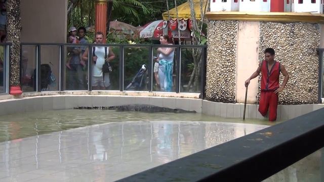 Шоу с крокодилами в зоопарке Пхукета, Тайланд смотреть онлайн