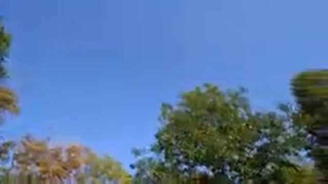 Очаровательный осенний лес с красивой фортепианной музыкой?Осенняя атмосфера 4K и осенняя листва смотреть онлайн