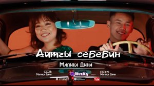 Малика Дина - Айтчы себебин