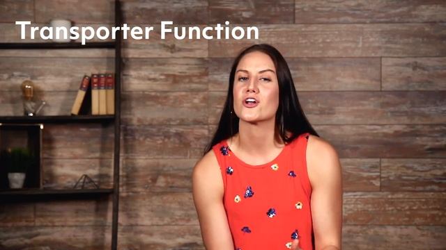 The 20 Amino Acids (And other useful info).mp4 смотреть онлайн