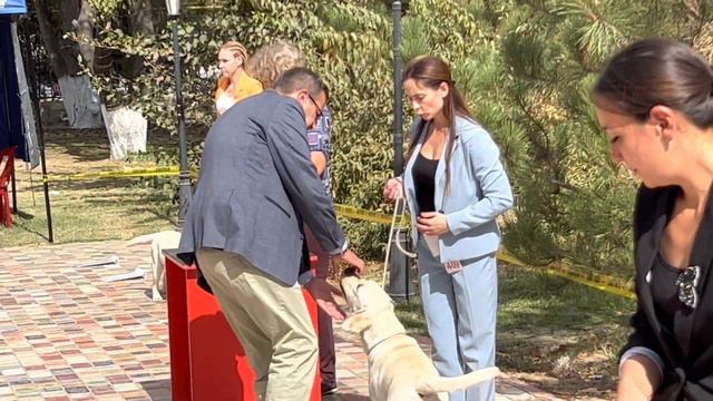 INTERNATIONAL DOG SHOW CACIB – FCI / ВЫСТАВКА СОБАК CACIB – FCI Ташкент ЗОЛОТОЙ ТАЛИСМАН -2022