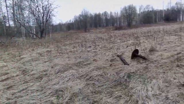 #МОТОБЛОК #КОЛХОЗНИК (второй выезд) #Коп #металла смотреть онлайн