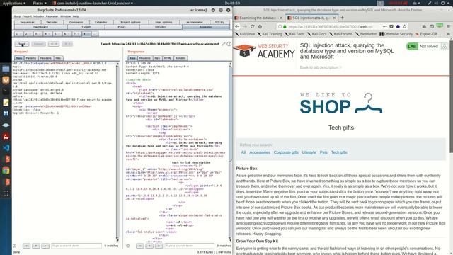 SQL injection attack, querying the database type and version on MySQL and Microsoft (Video solution смотреть онлайн