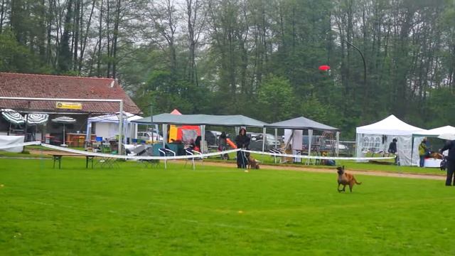 1-2 мая, Skyhoundz EC QUALIFIER 2014, Time Trial, Гуров Сергей и Лина смотреть онлайн