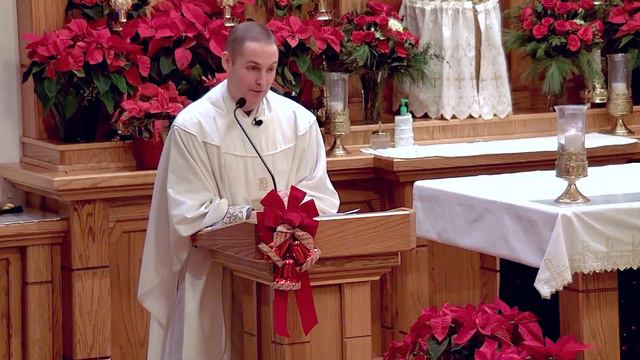 Patience: 1st Mark of Charity - Jan 04 - Homily - Fr Terrance смотреть онлайн