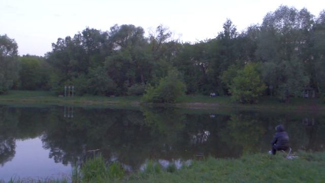 Соловьи у Богатырского пруда на краю Лосиного Острова в Богородском. 2019-05-21 20:52:37 смотреть онлайн