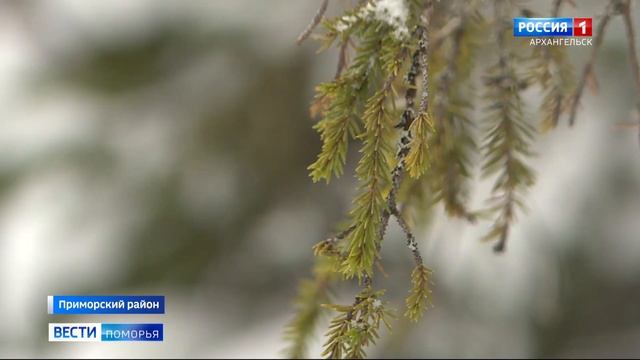 В регионе продолжается зимний учет диких животных смотреть онлайн