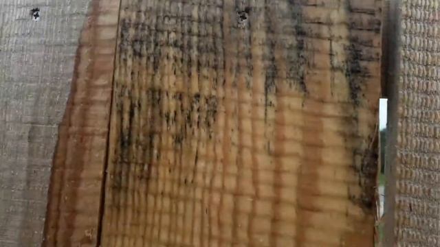 Отбеливаем доску от черноты смотреть онлайн